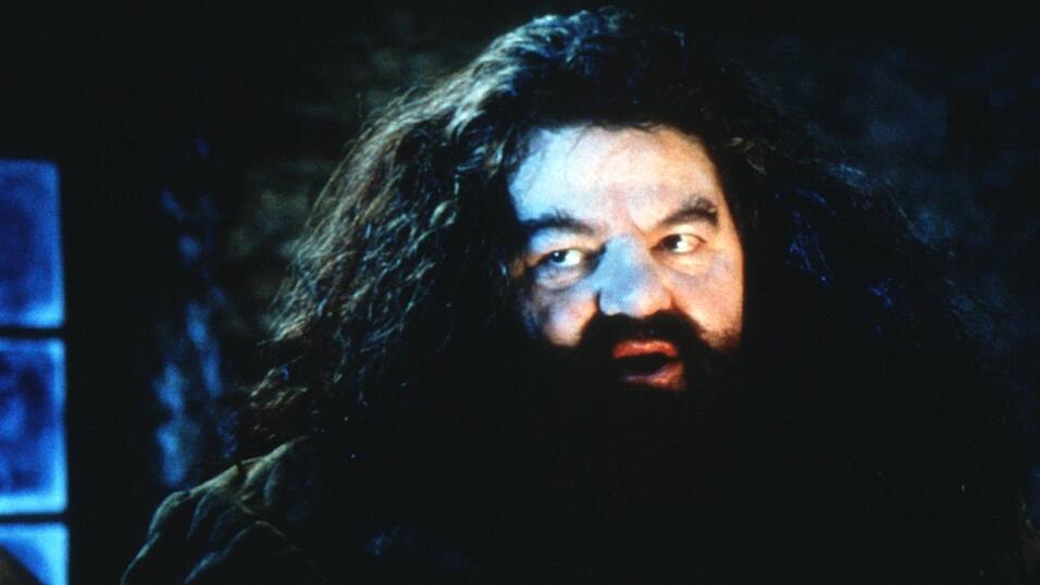 Wildhüter Hagrid holt Harry Potter ab. Wildhüter Hagrid holt Harry Potter ab.