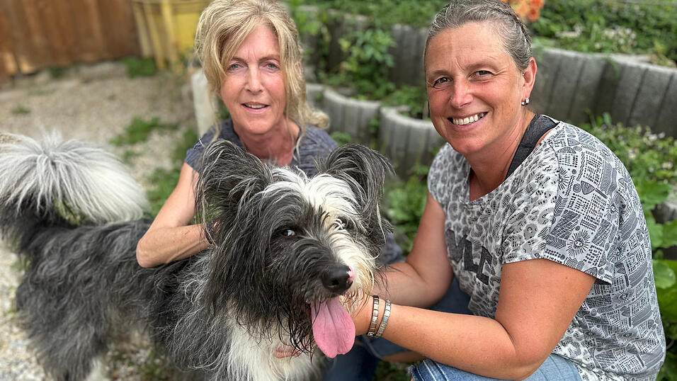 Diego mit seinen Liebsten: Beschäftigte Kerstin (v.l.) und Interimsleiterin des Gnadenhofs Manuela Hochwimmer Diego mit seinen Liebsten: Beschäftigte Kerstin (v.l.) und Interimsleiterin des Gnadenhofs Manuela Hochwimmer
