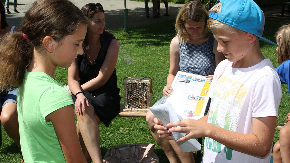 Der erste Platz beim 'Klasse'-Preis und damit 300 Euro in die Klassenkasse gehen an die Schüler der Klasse 4a der Grundschule Leiblfing mit ihrer Lehrerin Claudia Brielbeck. Die Schüler wurden von Annette Seidel von Bayernwerk und den Redakteurinnen Eva Rothmeier, Tanja Pfeffer und Stefanie Sobek während ihres Schullandheimaufenthalts in der Jugendbildungsstätte Windberg überrascht. Der erste Platz beim 'Klasse'-Preis und damit 300 Euro in die Klassenkasse gehen an die Schüler der Klasse 4a der Grundschule Leiblfing mit ihrer Lehrerin Claudia Brielbeck. Die Schüler wurden von Annette Seidel von Bayernwerk und den Redakteurinnen Eva Rothmeier, Tanja Pfeffer und Stefanie Sobek während ihres Schullandheimaufenthalts in der Jugendbildungsstätte Windberg überrascht.