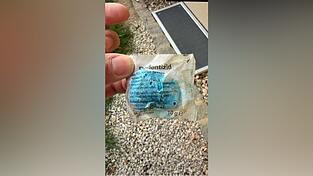 So unscheinbar schauen die Giftköder aus, die Hunde leicht aufschnappen können.