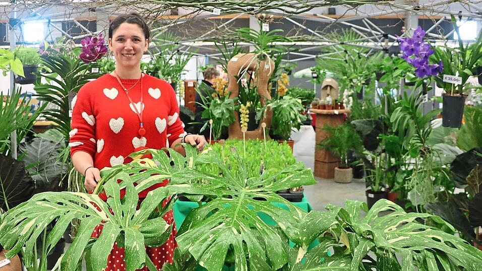 Evelyn Bogl&aacute;rak hatte eine Monstera Thai Constellation dabei. Die Pflanze gilt als Rarit&auml;t.