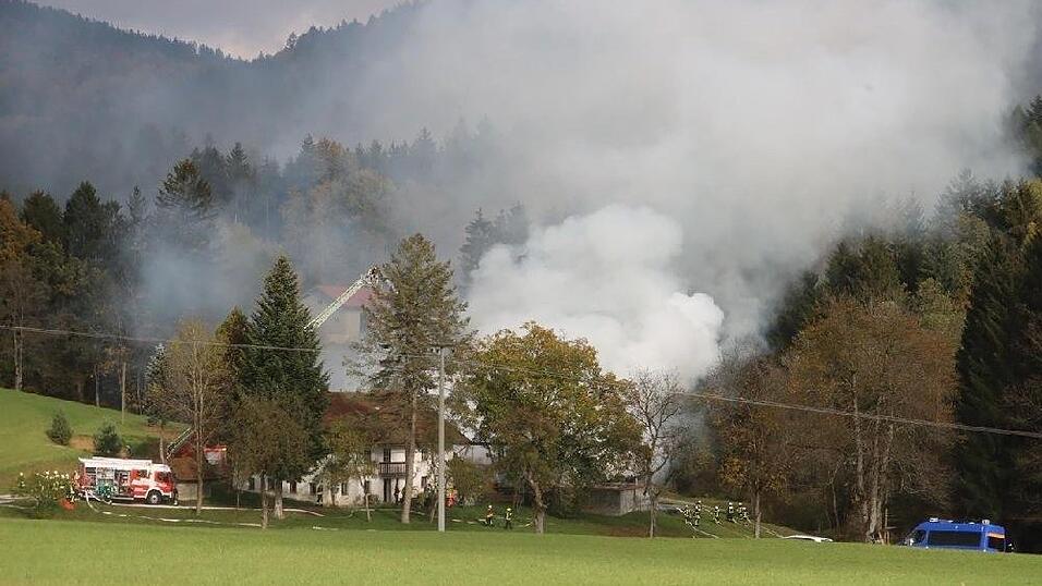 Die Feuerwehr konnte ein Übergreifen des Brandes auf den umliegenden Wald verhindern.