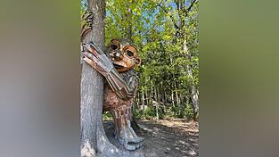 Trollmädchen Lisa in der Edelwies Trollmädchen Lisa in der Edelwies