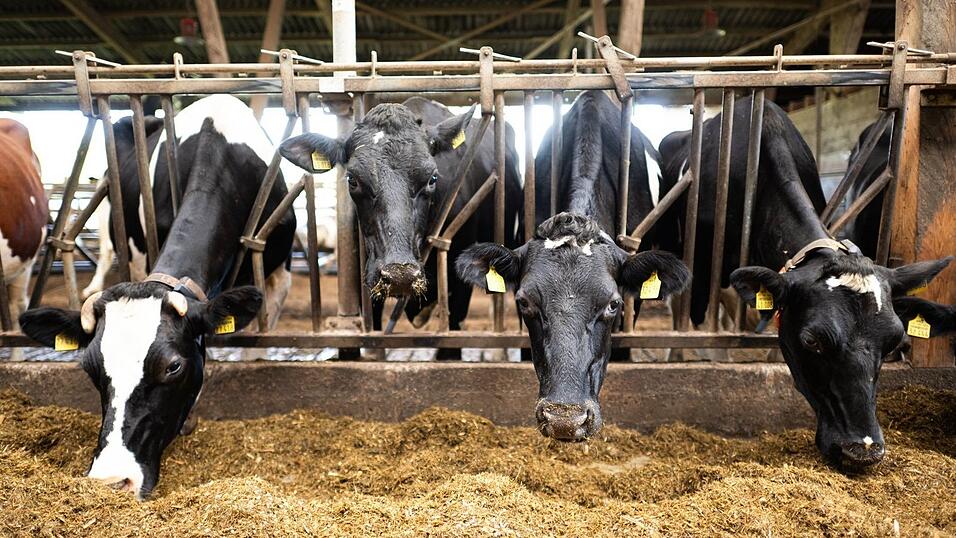 Schon im vergangenen Jahr waren nach Bauernprotesten in der EU Erleichterungen für Landwirte beschlossen worden. (Archivfoto)