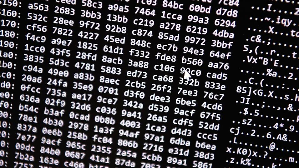 Neue Tools erm&ouml;glichten einen Schlag gegen ein Betrugs-Netzwerk im Darknet. (Symbolbild)