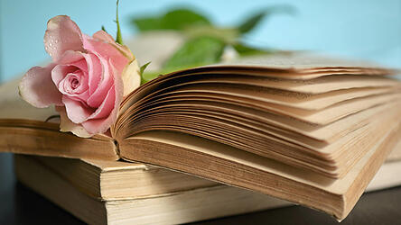 Wie entwickelt sich der Liebesroman?