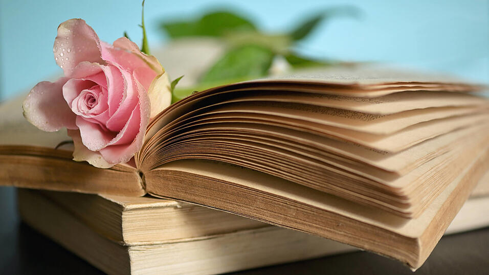 Wie entwickelt sich der Liebesroman?