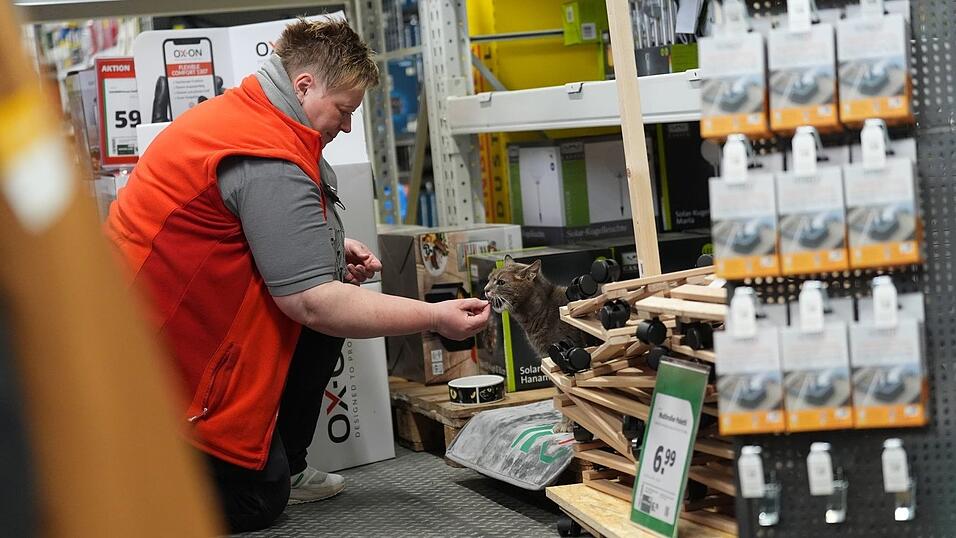 Jennifer Scheel, Mitarbeiterin im Baumarkt, wird von ihren Kollegen auch &laquo;Katzenmutti&raquo; genannt.