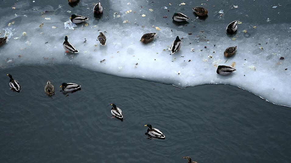 Nun steht vor allem dem Osten Deutschlands Glatteis-Gefahr bevor. Nun steht vor allem dem Osten Deutschlands Glatteis-Gefahr bevor.