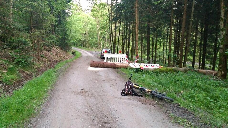 Auch mit Bäumen versuchte man, die Autofahrer davon abzuhalten, auf dem Europaradweg zu fahren. Auch mit Bäumen versuchte man, die Autofahrer davon abzuhalten, auf dem Europaradweg zu fahren.