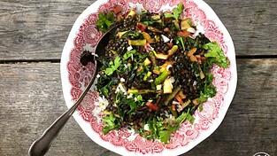So lecker sieht der Belugalinsen-Salat mit Mangold und Koriander aus.