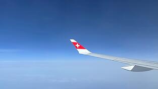 Die Swiss-Piloten sind vom Dienst suspendiert (Symbolbild) Die Swiss-Piloten sind vom Dienst suspendiert (Symbolbild)