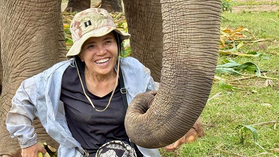 Das Lebenswerk der Elefantenflüsterin ist beeindruckend. Das Lebenswerk der Elefantenflüsterin ist beeindruckend.