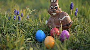 Osterhasen dürfen im Frühling nicht fehlen. Osterhasen dürfen im Frühling nicht fehlen.