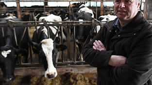 Hans Friedrichsen steht am 10.02.2016 im nordfriesischen Horsted (Schleswig-Holstein) im Stall seines Sohnes. Der ehemalige Landwirt ist Ansprechpartner für psychisch erkrankte Bauern und deren Angehörige in der Region.