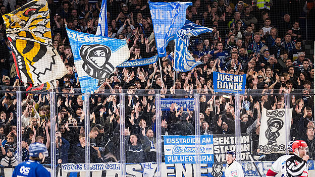 Wie immer geben die Fans der Straubing Tigers Gas und feuern lautstark ihre Mannschaft im Eisstadion am Pulverturm an. Toll, weiter so! Wie immer geben die Fans der Straubing Tigers Gas und feuern lautstark ihre Mannschaft im Eisstadion am Pulverturm an. Toll, weiter so!