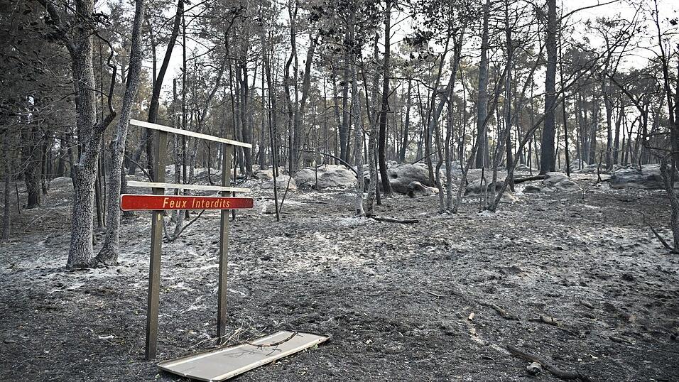 Über 2.000 Hektar Flüche wurden durch den Brand im Wald von Fontainebleau bereits zerstört. Über 2.000 Hektar Flüche wurden durch den Brand im Wald von Fontainebleau bereits zerstört.