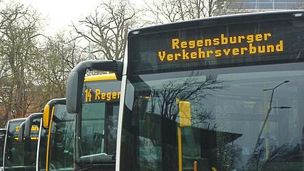 Linienbusse des Regensburger Verkehrsverbunds aufgereiht am zentralen Omnibusbahnhof in Regensburg: Der Kreistag Straubing-Bogen hat entschieden, dass der Landkreis einen Beitritt zu diesem Verbund anstrebt.