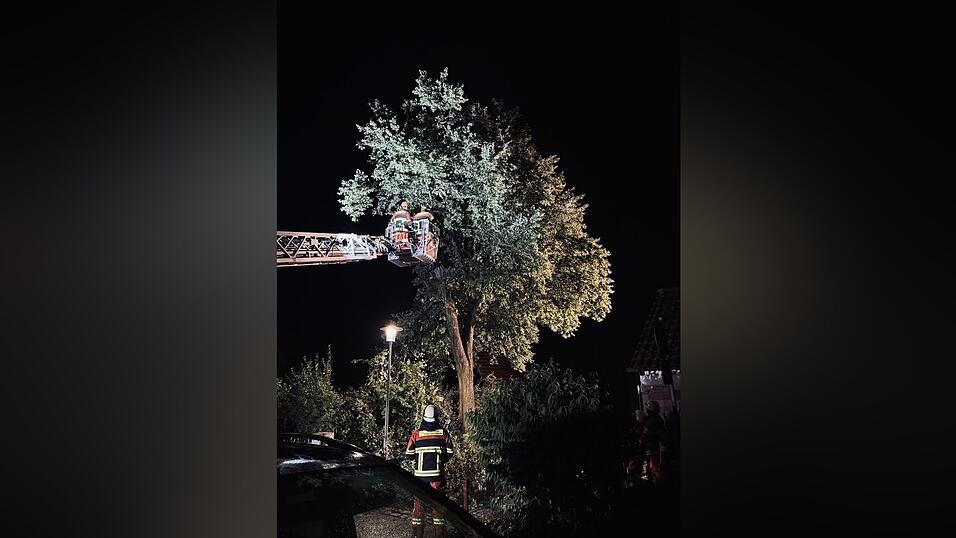 Auch die Freiwillige Feuerwehr Moosburg hatte zahlreiche Einsätze im Stadtgebiet zu bewältigen. Auch die Freiwillige Feuerwehr Moosburg hatte zahlreiche Einsätze im Stadtgebiet zu bewältigen.