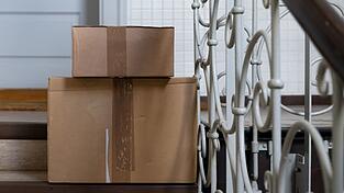 Die Katze hatte sich nach bisherigen Erkenntnissen unbemerkt in den Karton gelegt. (Symbolbild) Die Katze hatte sich nach bisherigen Erkenntnissen unbemerkt in den Karton gelegt. (Symbolbild)