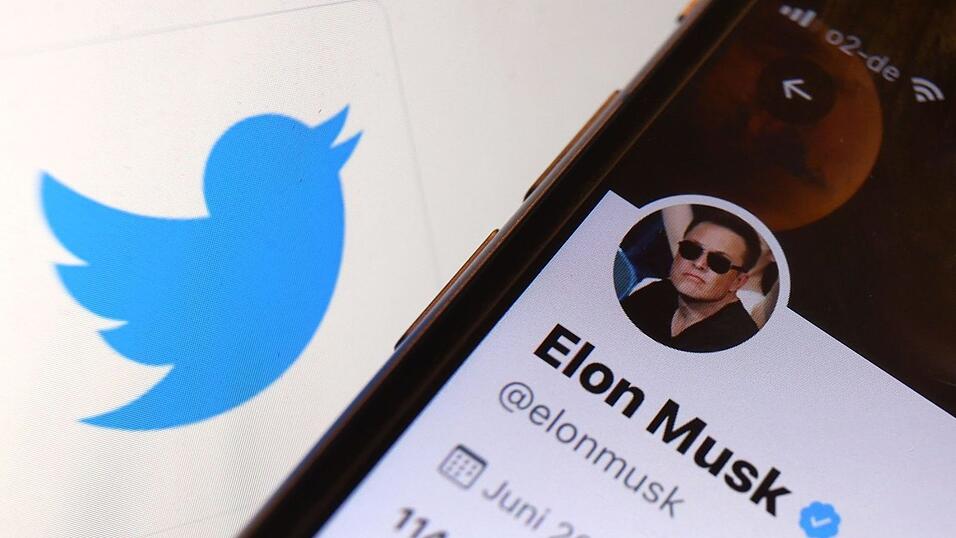 Elon Musk wollte die Nachrichten-Plattform Twitter eigentlich kaufen.