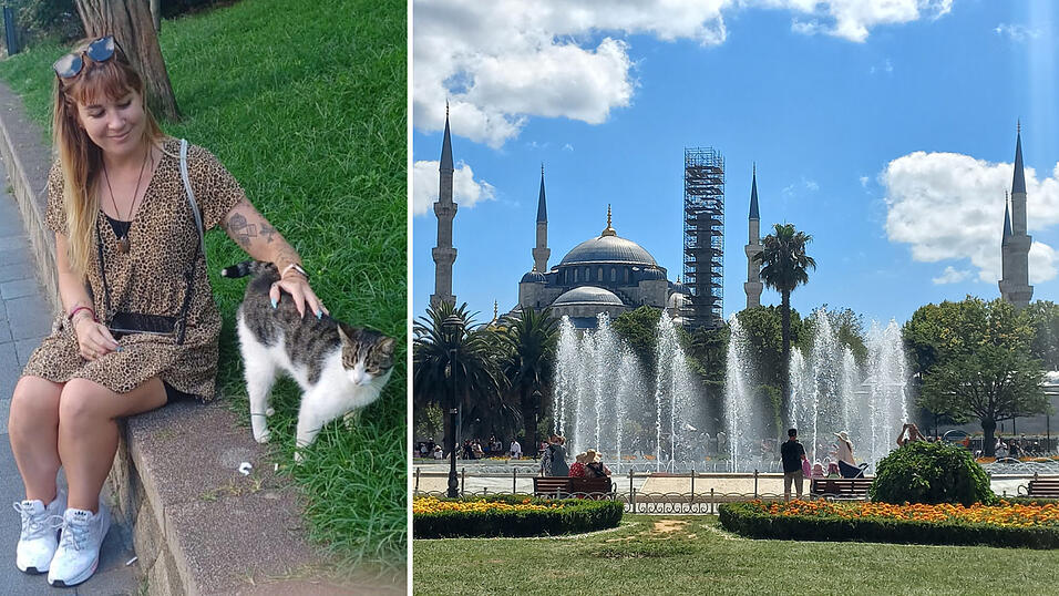 Viele Moscheen und noch mehr Katzen – das hat Istanbul zu bieten.