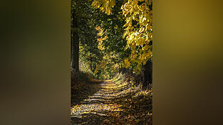 Trauer ist ganz individuell, ein Austausch mit &bdquo;Gleichgesinnten&ldquo; kann aber oft helfen.