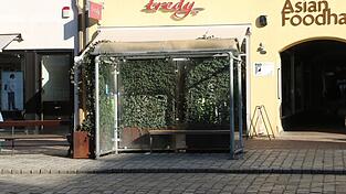 Neben anderen Buswarteh&auml;uschen ist im Rahmen der Klimaanpassung vergangenes Jahr auch dieses in der Altstadt begr&uuml;nt worden.
