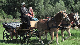 Mit der Hochzeitskutsche ins Eheglück... Tanja Adler, Veranstalterin der Deggendorfer Hochzeitsschau, hat schon mal ausprobiert, wie sich das anfühlt, und ist bei Hochzeitskutscher Markus Würf am Kutschbock mitgefahren. Vornedran das routinierte Duo Felix (l.) und Winnie Pooh (r.).