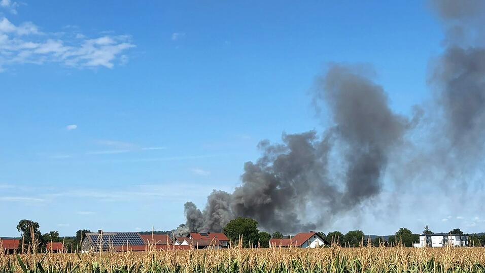 Nach ersten Erkenntnissen steht die Sortieranlage in Flammen. Nach ersten Erkenntnissen steht die Sortieranlage in Flammen.