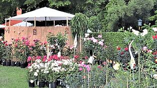 Zweiter Tagesordnungspunkt war die Marktfestsetzung f&uuml;r die Ausstellung 'Gartenlust Schloss S&uuml;nching' vom 22. bis 24. April, jeweils in der Zeit von 10 bis 18 Uhr.,