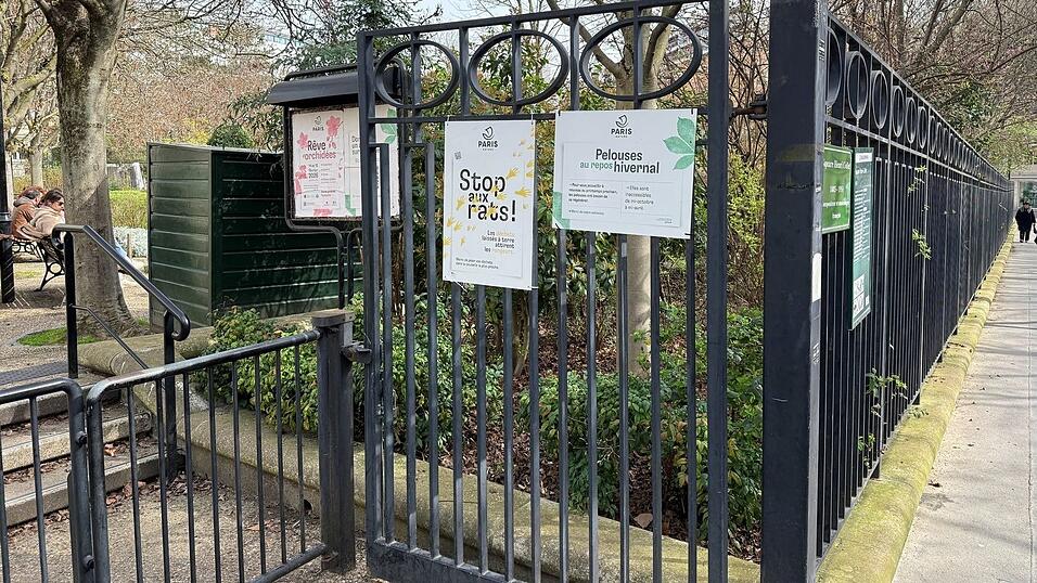 Parkanlagen, unterirdische Sch&auml;chte und die Kanalisation sind bevorzugte Lebensr&auml;ume der Pariser Ratten.