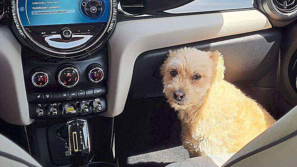 Viele neue Elektroautos bleiben wohltemperiert - selbst wenn von Au&szlig;en kaum etwas zu h&ouml;ren ist, l&auml;uft drinnen die Klimaanlage.