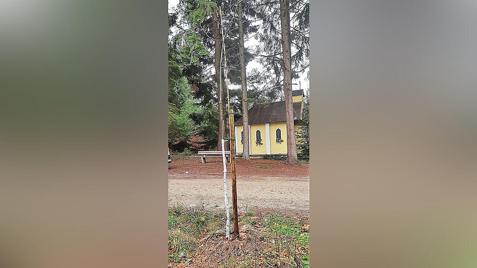 Geschichtsträchtig ist die Kreuzung an der Mainburger Waldkapelle. Nach der Abholzung wurden dort jetzt wieder vier Eichen gepflanzt. Geschichtsträchtig ist die Kreuzung an der Mainburger Waldkapelle. Nach der Abholzung wurden dort jetzt wieder vier Eichen gepflanzt.