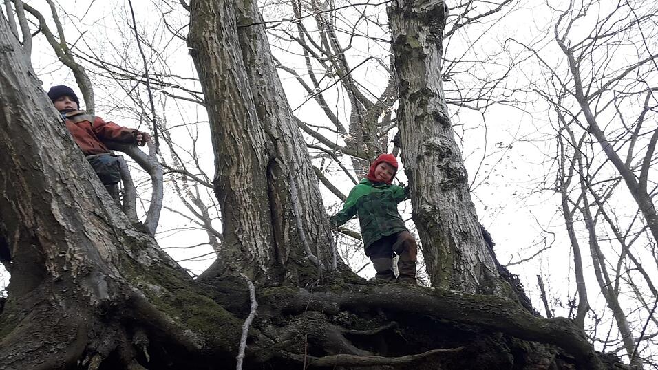 Toben im Wald ist Alltag im Waldkindergarten.