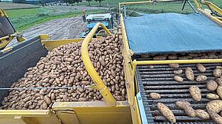 Trotz großen Ernteerfolgs lassen Erzeugerpreise die Landwirte mit einem Zähneknirschen zurück.