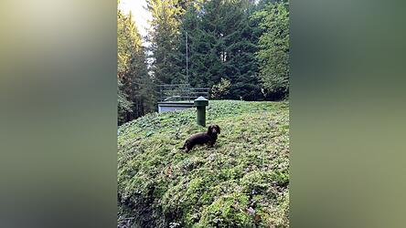 Aufgrund fehlender Niederschl&auml;ge gehen die Quellsch&uuml;ttungen zur&uuml;ck - die B&uuml;rger wurden gebeten, Wasser zu sparen.