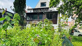 So sah der Garten hinter der Pension aus, als er noch liebevoll gehegt wurde.