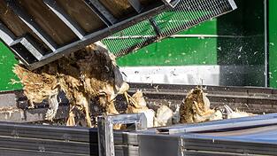 Wegen der Geflügelpest müssen in Deutschland derzeit viele Tausend Hühner, Gänse, Enten und Puten gekeult werden. Wegen der Geflügelpest müssen in Deutschland derzeit viele Tausend Hühner, Gänse, Enten und Puten gekeult werden.