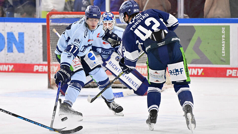 Einstimmung auf die neue Eishockey-Saison: Die Straubing Tigers beim Training.
