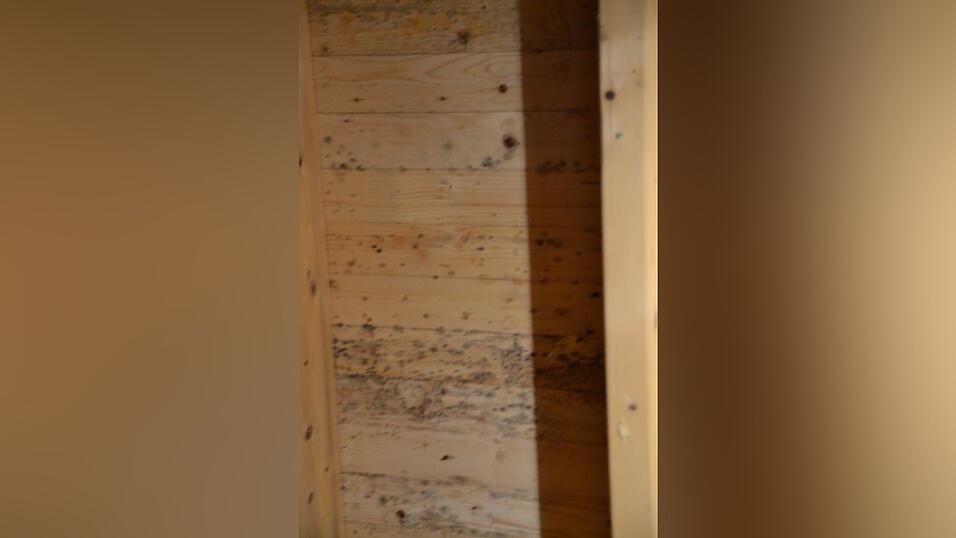 Das gr&ouml;&szlig;te Sorgenkind der Grolls: Unter dem Dach frisst sich mehr und mehr Schimmel durchs Holz. (Foto: Matthias Jell)