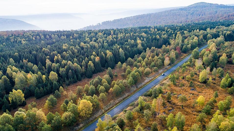 Die Forschenden empfehlen verschiedene Varianten, um das Klima zu schützen. (Symbolbild) Die Forschenden empfehlen verschiedene Varianten, um das Klima zu schützen. (Symbolbild)