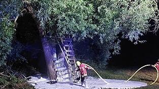 Aus Sicherheitsgründen entschied die Notfallmanagerin, den Baum von einem Forstunternehmen fällen zu lassen.