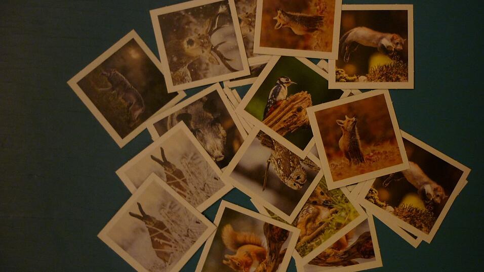 Wer erinnert sich, wo die Pärchen liegen? Wer erinnert sich, wo die Pärchen liegen?