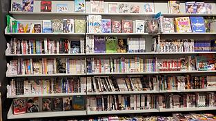 Ein Blick ins Manga-Regal.
