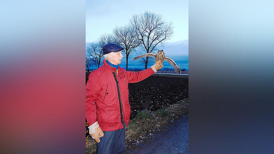 Feig entlässt die Waldohreule mit gespannten Flügeln in die Freiheit. Feig entlässt die Waldohreule mit gespannten Flügeln in die Freiheit.