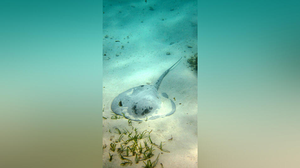 Ankunft in der Karibik, Dezember 2009/Januar 2010 Ankunft in der Karibik, Dezember 2009/Januar 2010