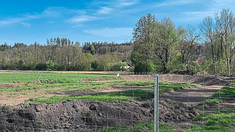 So sah das Gelände in Eching vor dem Baustopp aus - jetzt ist alles von Unkraut bewachsen. So sah das Gelände in Eching vor dem Baustopp aus - jetzt ist alles von Unkraut bewachsen.