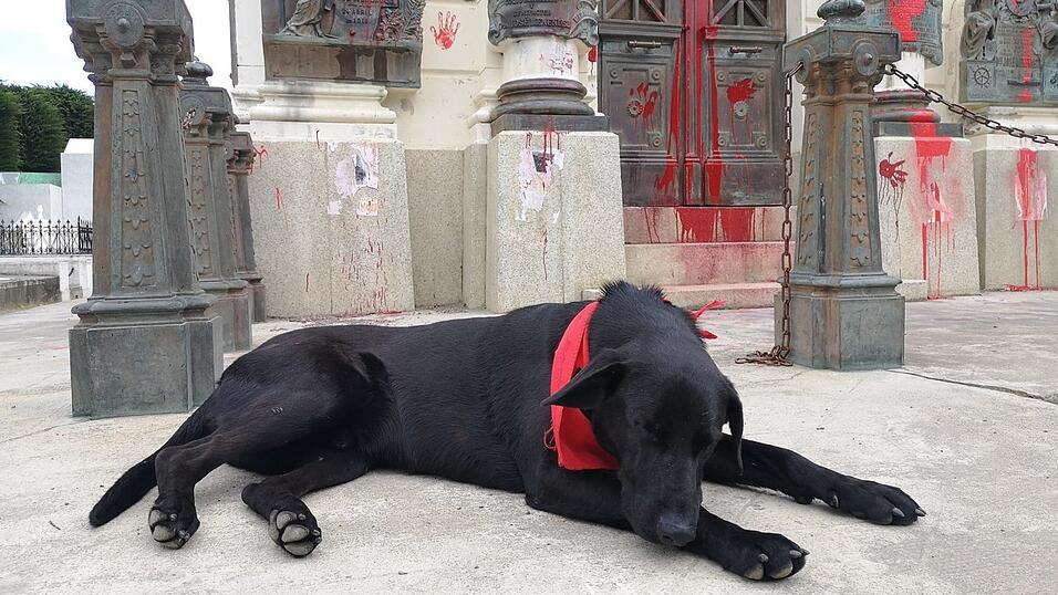 Schwarze Hunde mit rotem Tuch sind ein wichtiges Symbol der chilenischen Proteste. Schwarze Hunde mit rotem Tuch sind ein wichtiges Symbol der chilenischen Proteste.