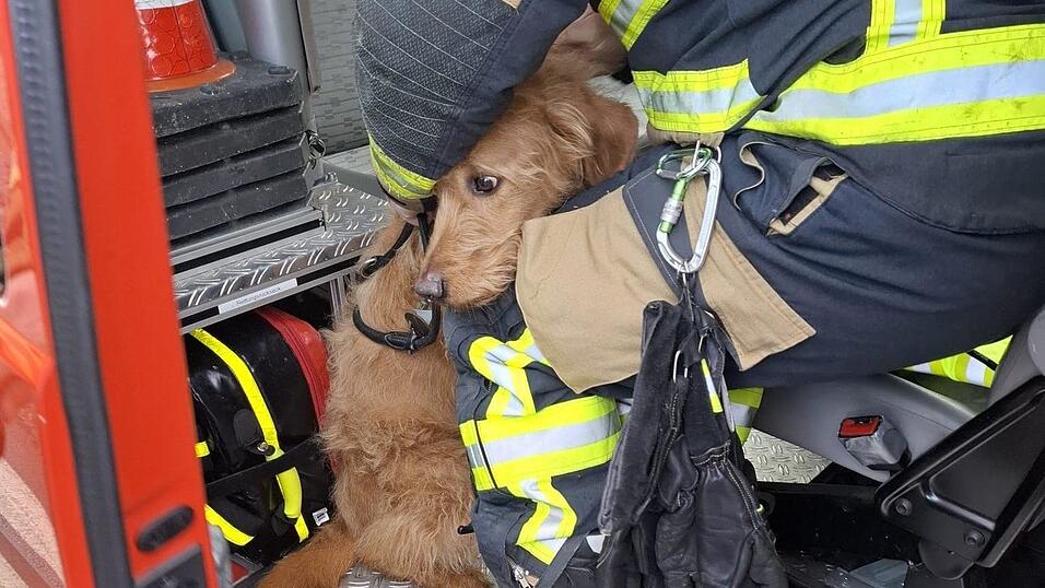 Die Feuerwehr brachte den Hund der 57-J&auml;hrigen zu ihr in die Kreisklinik.